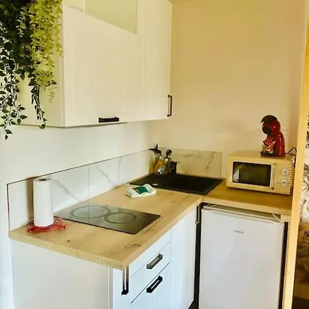 Avec Terrasse Apartament