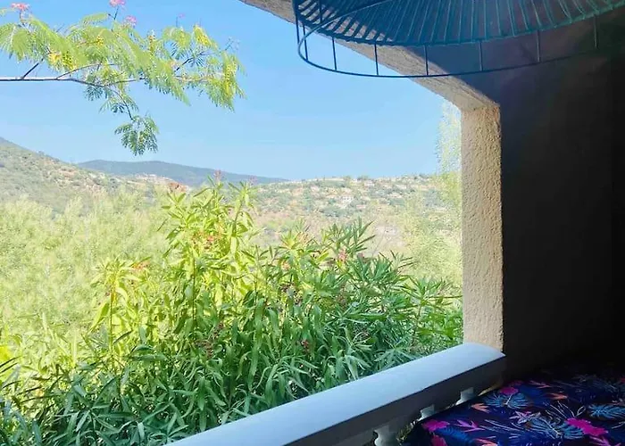 Avec Terrasse * Cavalaire-sur-Mer