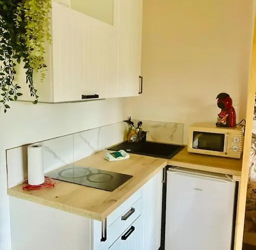 Avec Terrasse Appartement